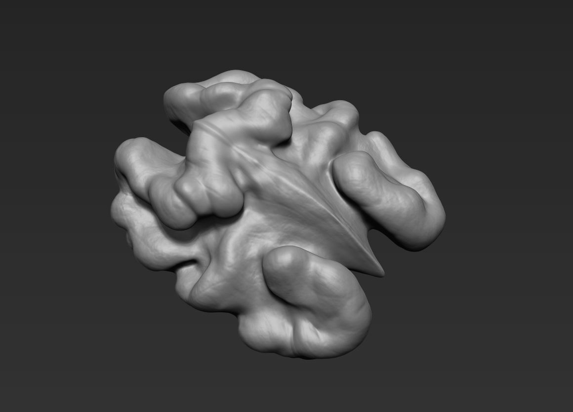 Walnut Pack High Detailed - 3D Print 3D print model_5