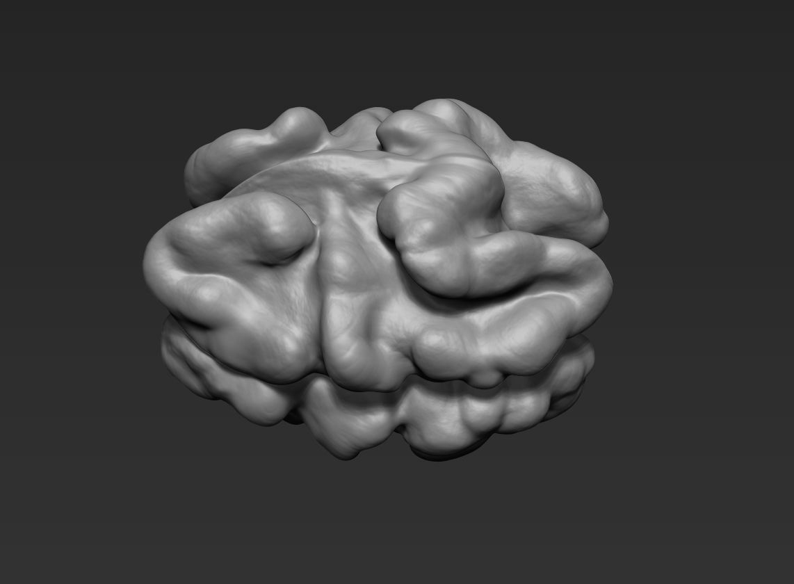 Walnut Pack High Detailed - 3D Print 3D print model_13