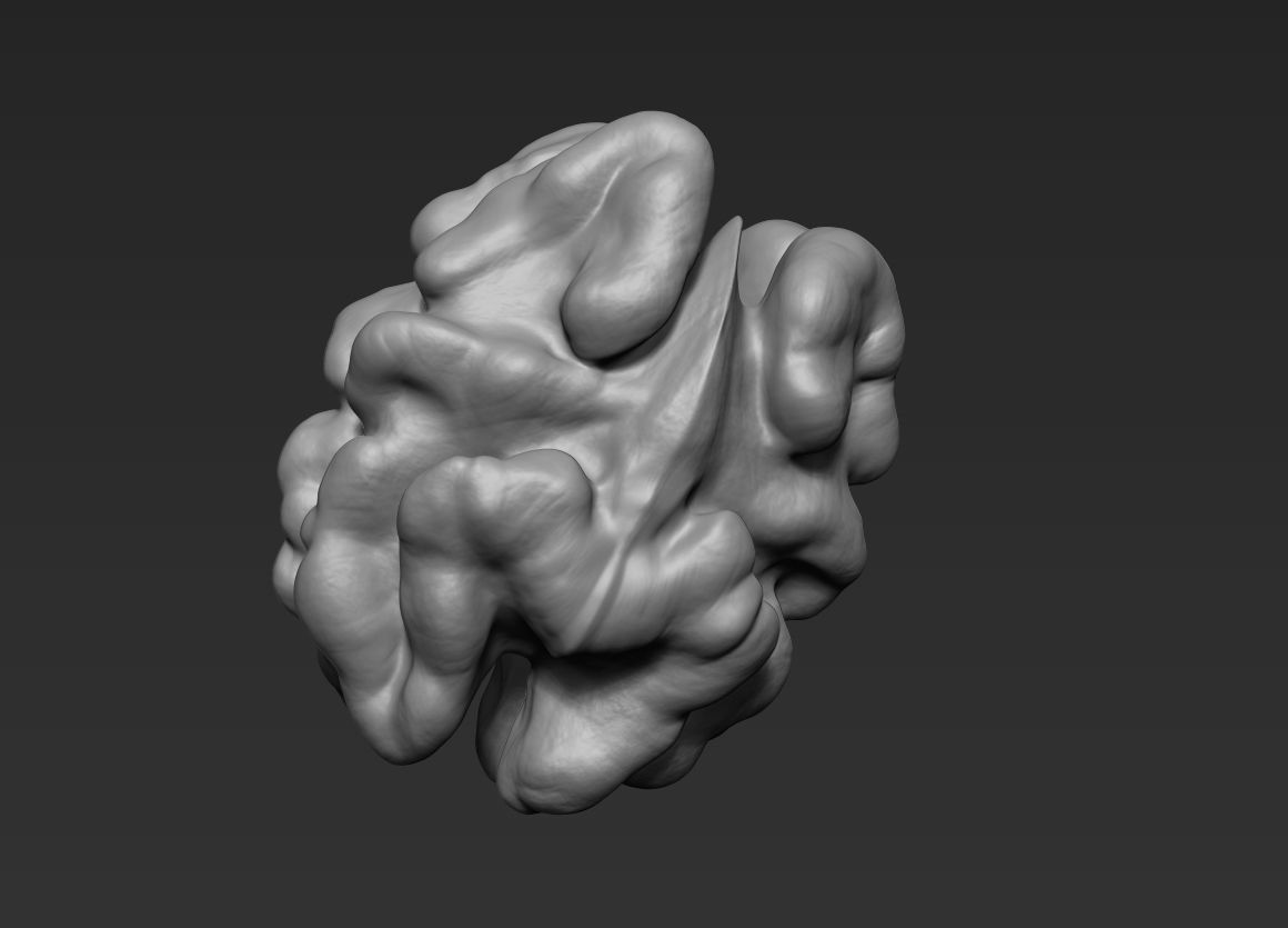 Walnut Pack High Detailed - 3D Print 3D print model_12