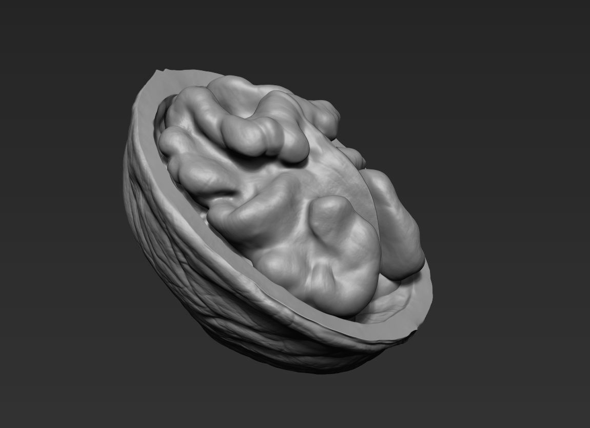 Walnut Pack High Detailed - 3D Print 3D print model_7