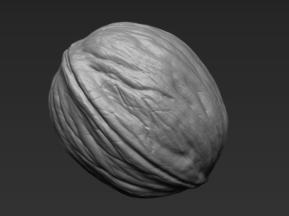 Walnut Pack High Detailed - 3D Print 3D print model_18