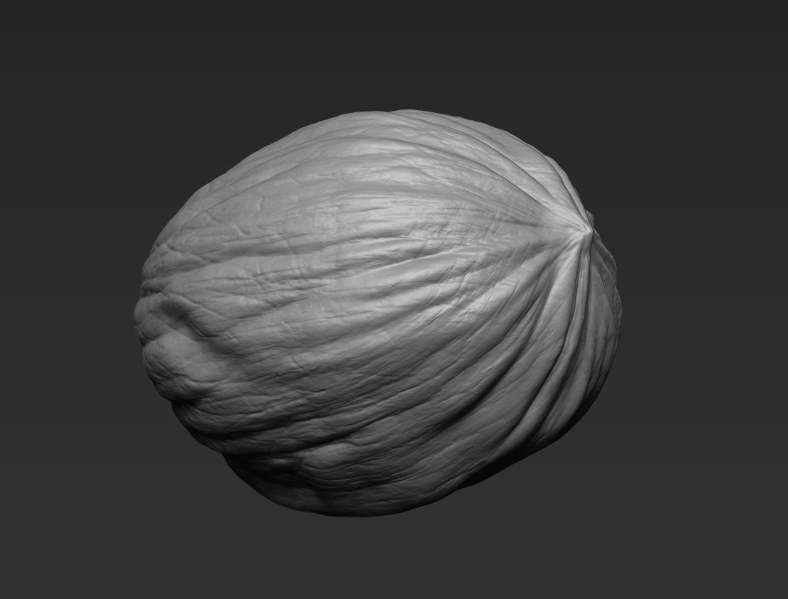 Walnut Pack High Detailed - 3D Print 3D print model_15