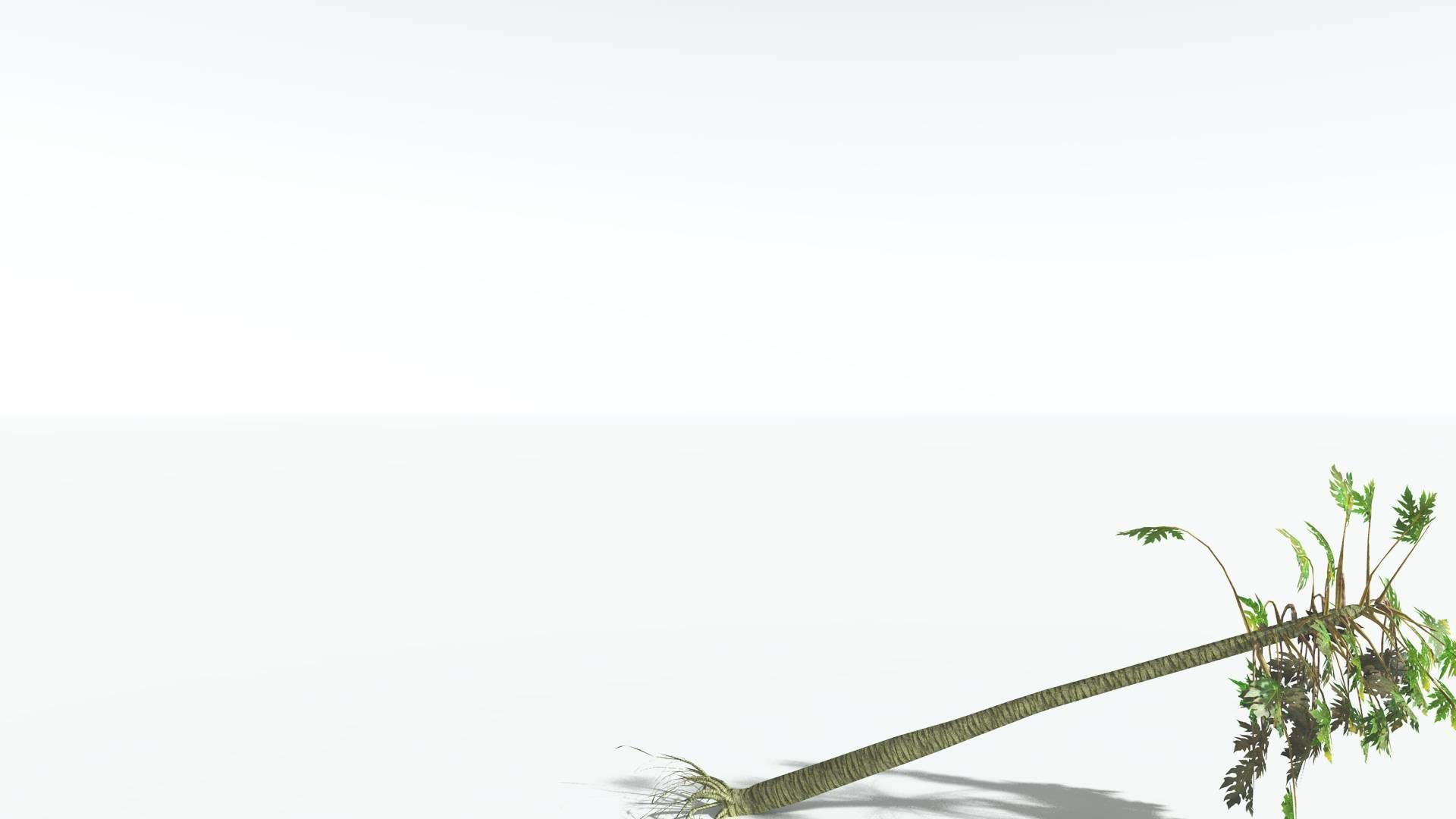 EVERYPlant Papaya LowPoly 2 --14 Models-- Low-poly 3D model_19