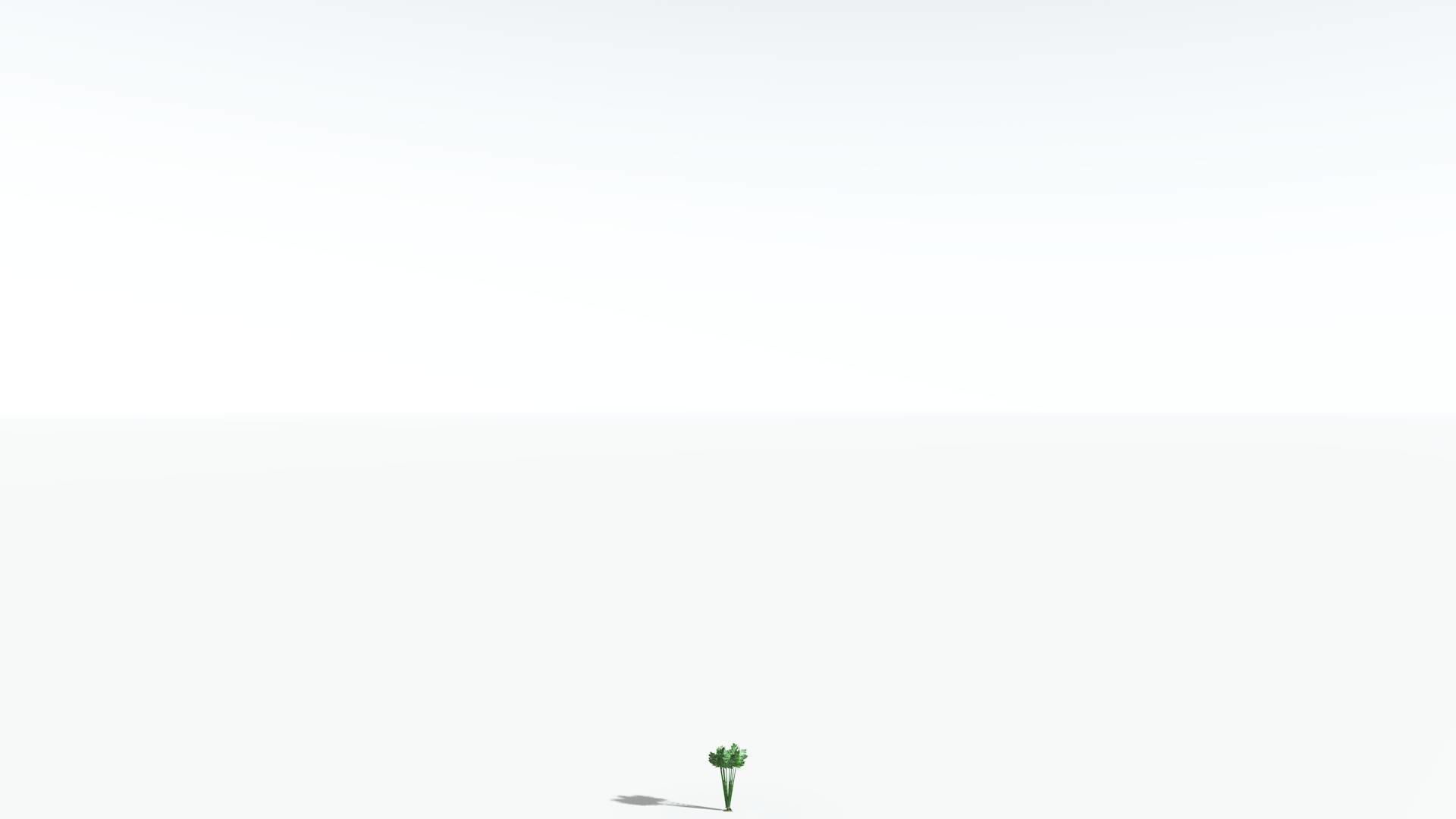 EVERYPlant Papaya LowPoly 2 --14 Models-- Low-poly 3D model_27