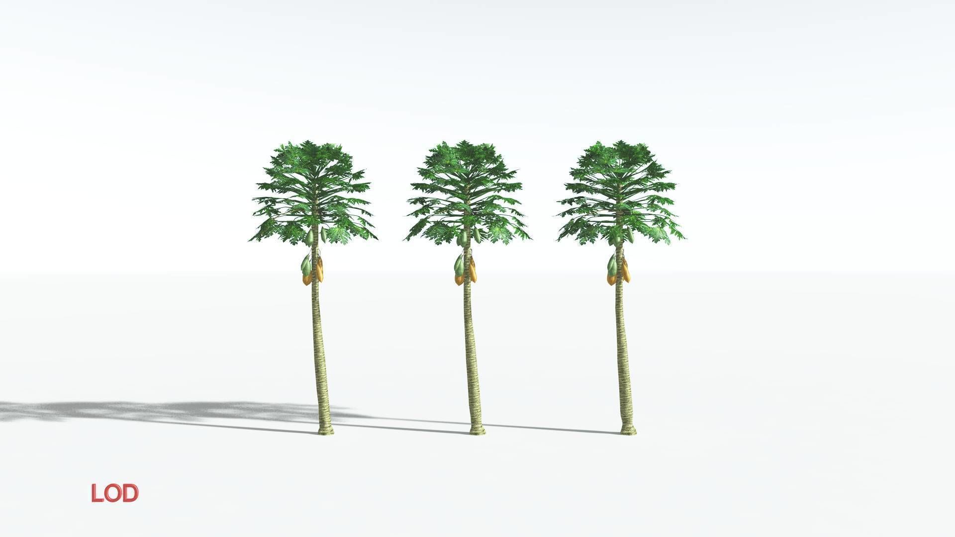 EVERYPlant Papaya LowPoly 2 --14 Models-- Low-poly 3D model_4
