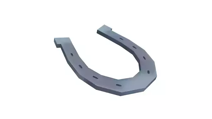 Horseshoe - Hand Painted