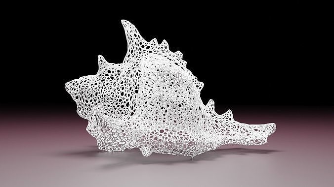 Seashell dome Free 3D print model