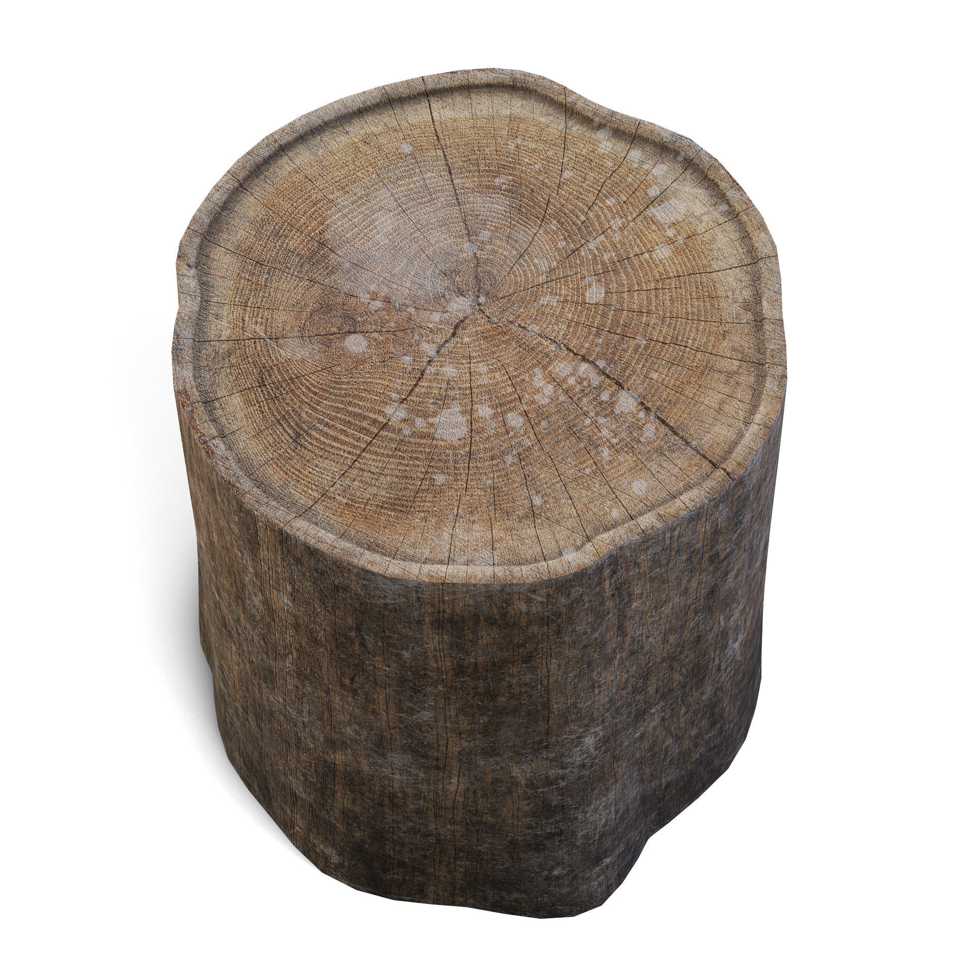 Tree Stump 3D model_7