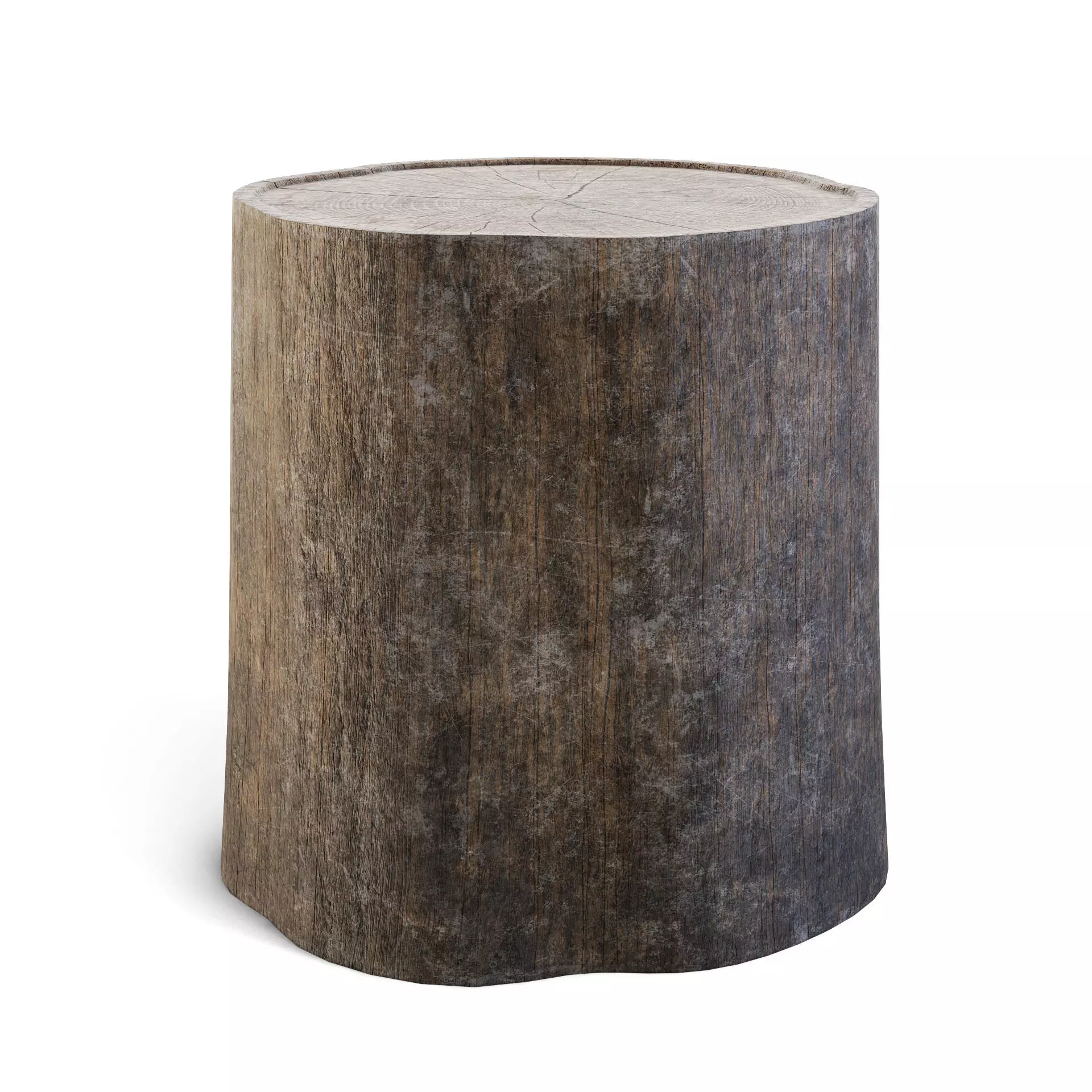 Tree Stump 3D model_0
