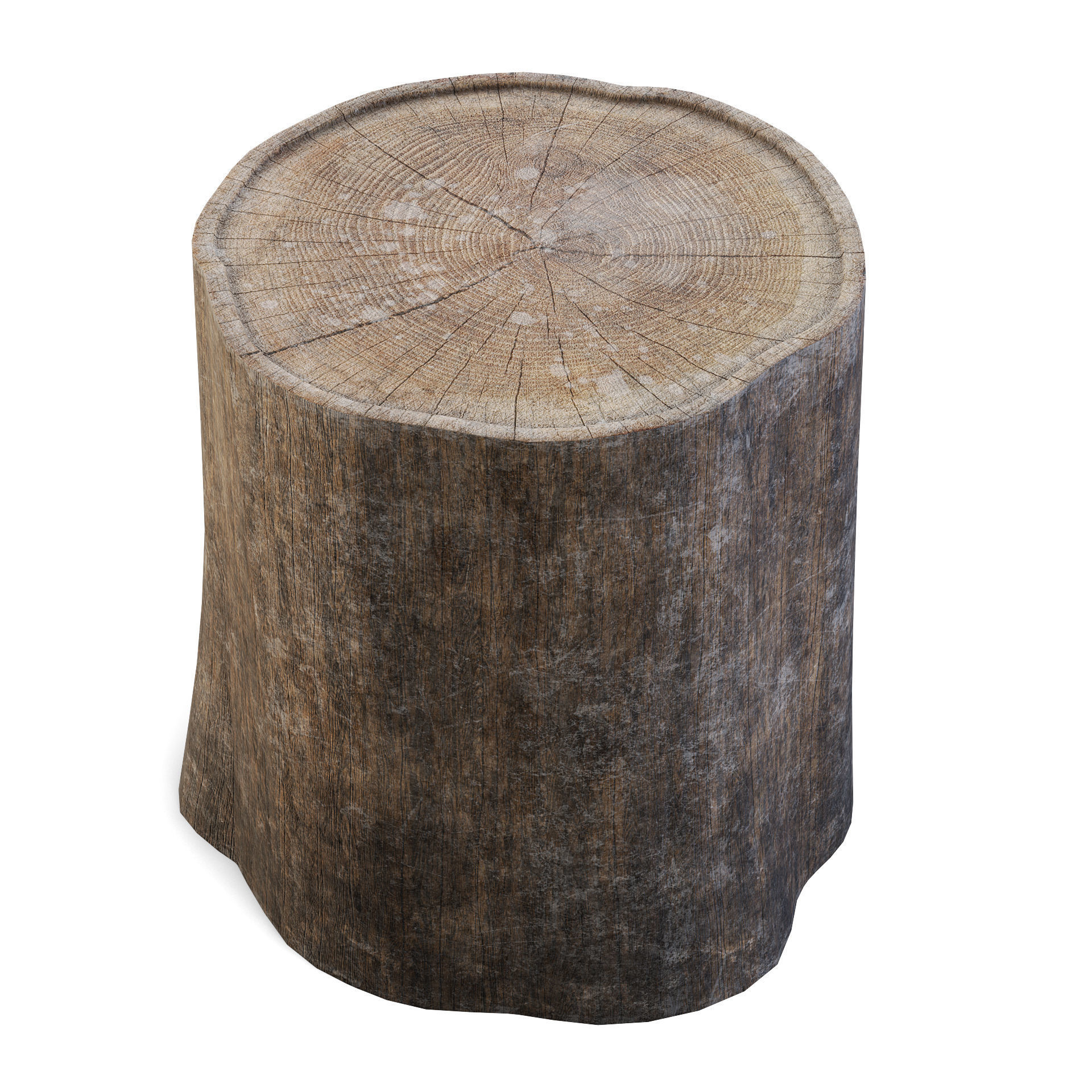 Tree Stump 3D model_4