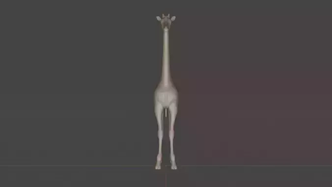 Giraffe model