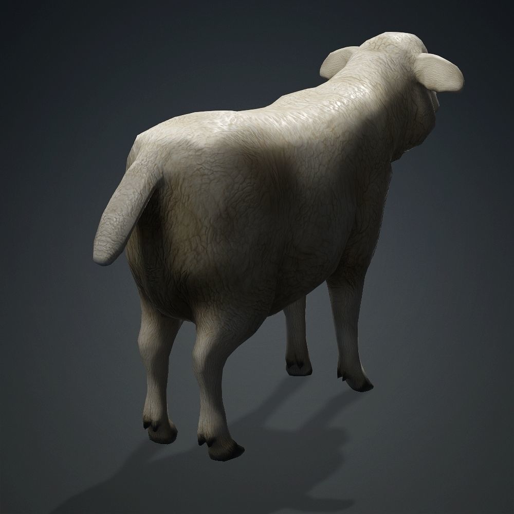 Low poly Sheep Low-poly 3D model_4