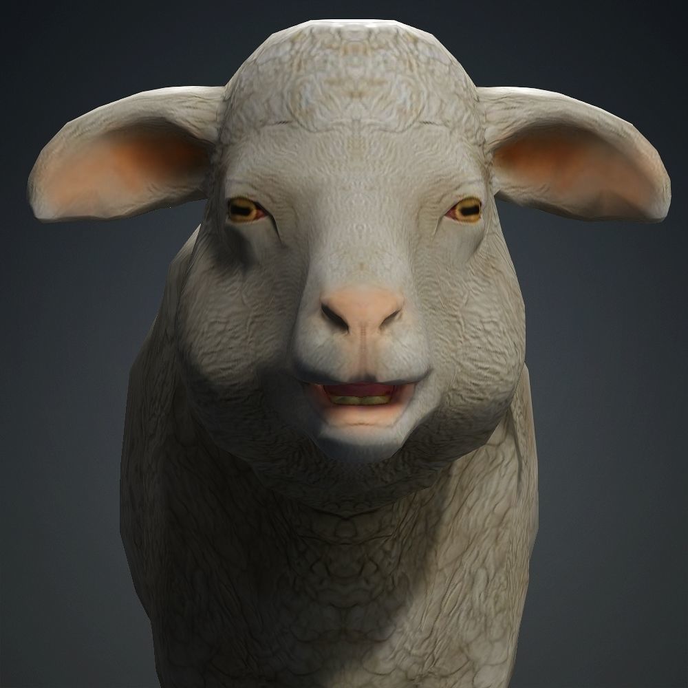 Low poly Sheep Low-poly 3D model_2