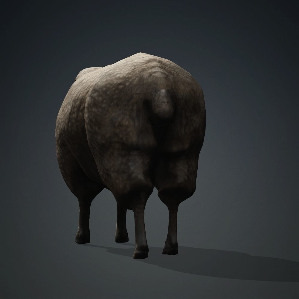 Animal Ram Free 3D model_3