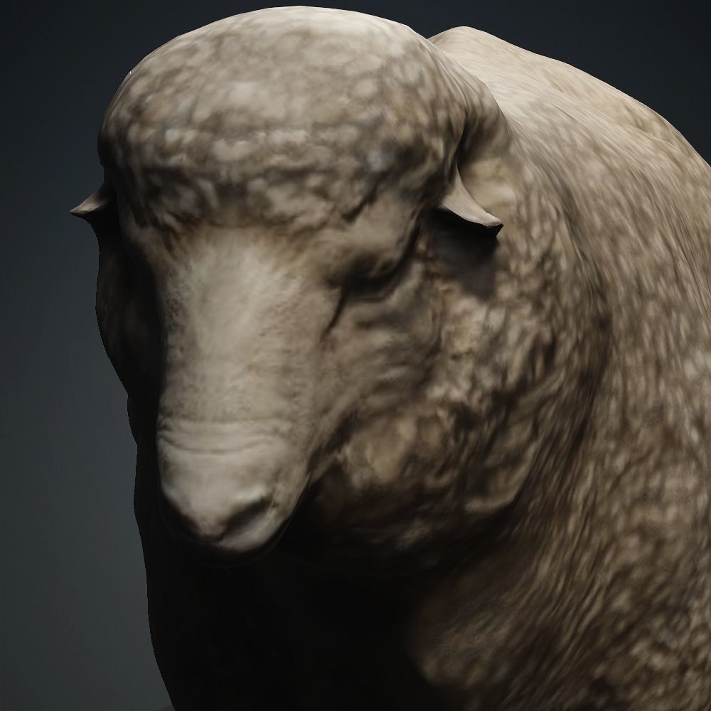 Animal Ram Free 3D model_2
