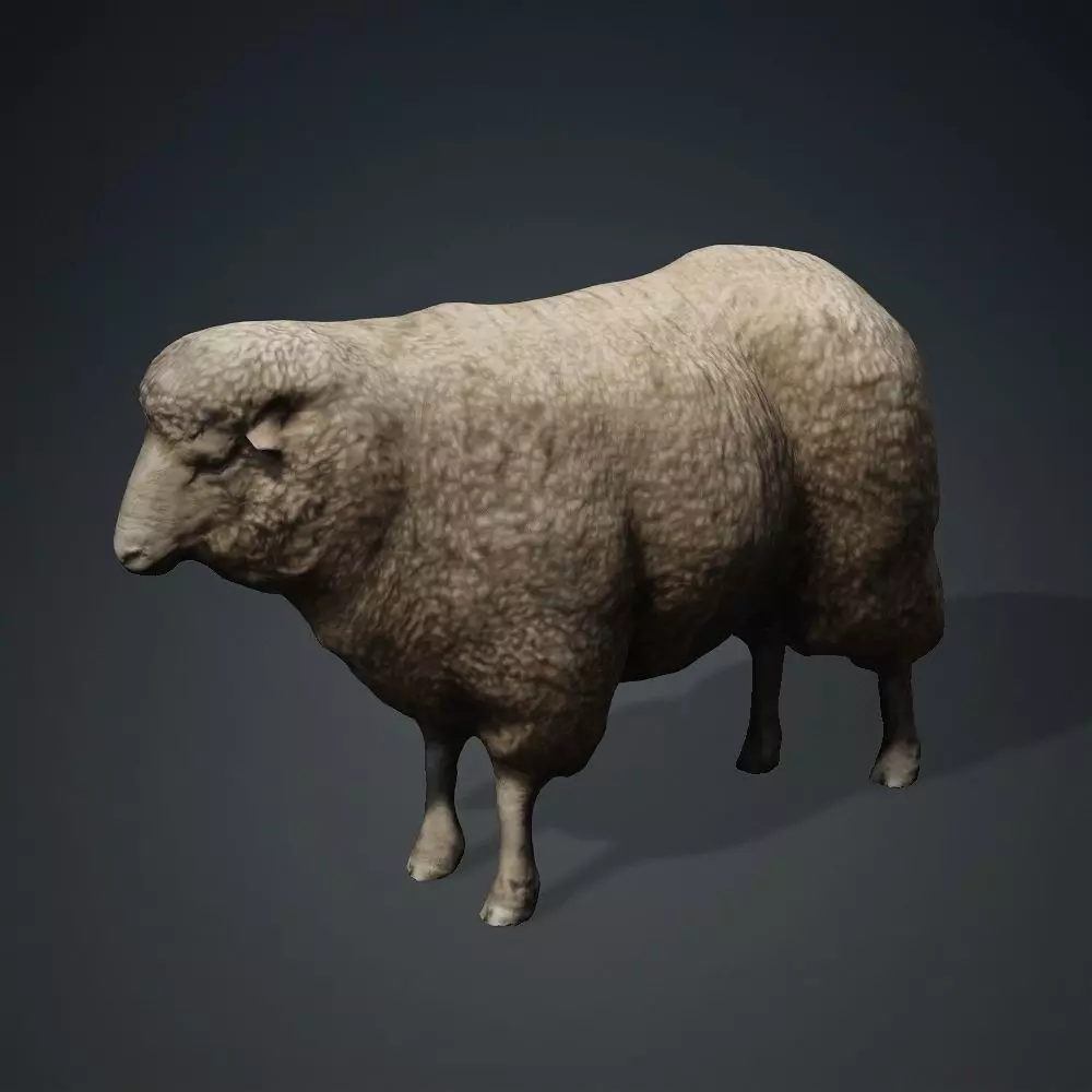 Animal Ram Free 3D model_0