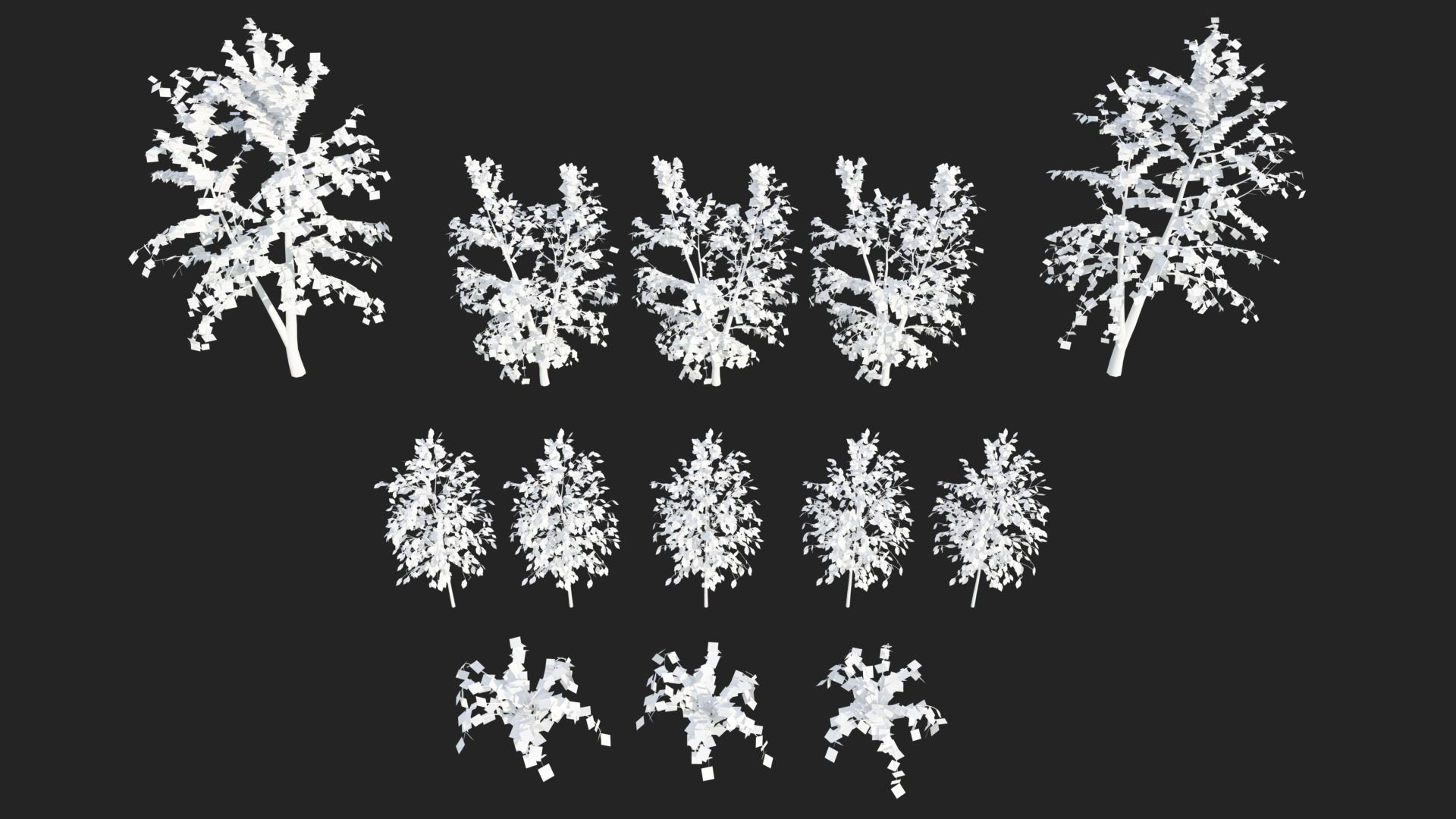 Types texture of leaves and trees low poly Low-poly 3D model_12