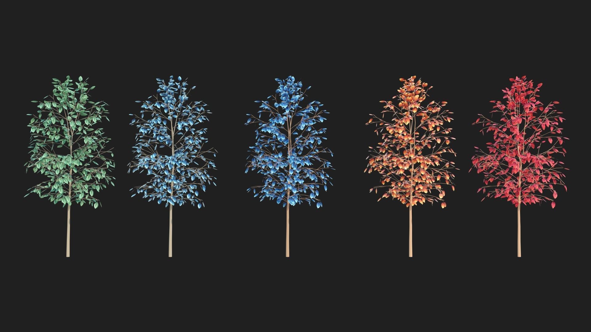 Types texture of leaves and trees low poly Low-poly 3D model_5