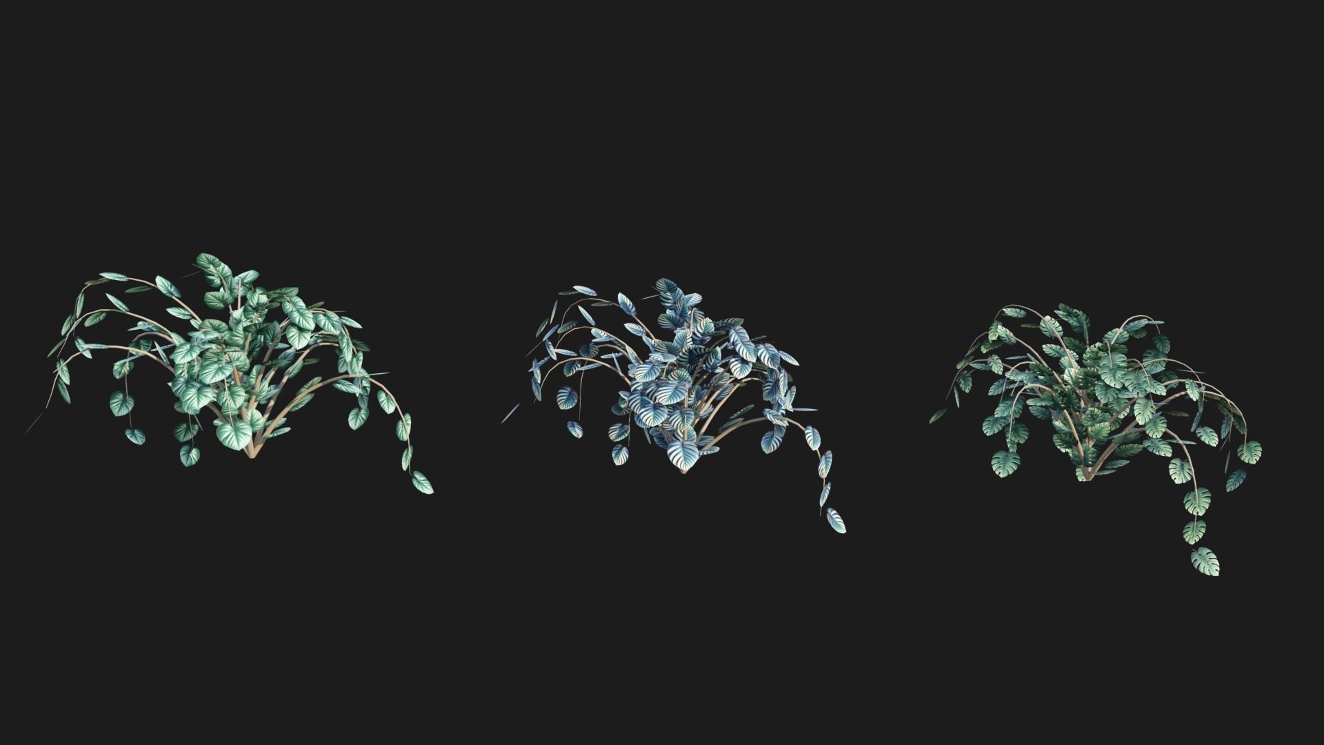 Types texture of leaves and trees low poly Low-poly 3D model_8