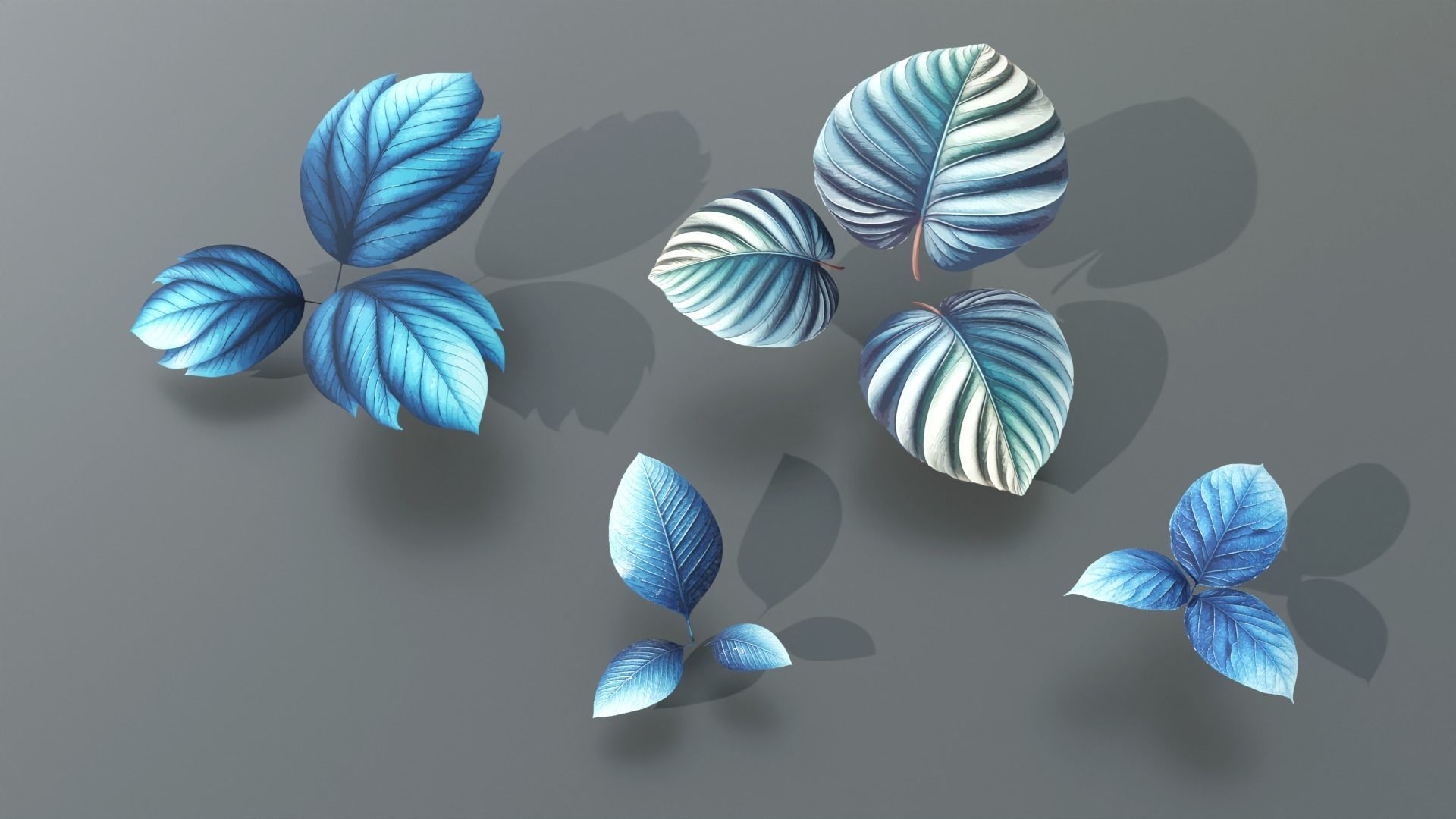 Types texture of leaves and trees low poly Low-poly 3D model_2