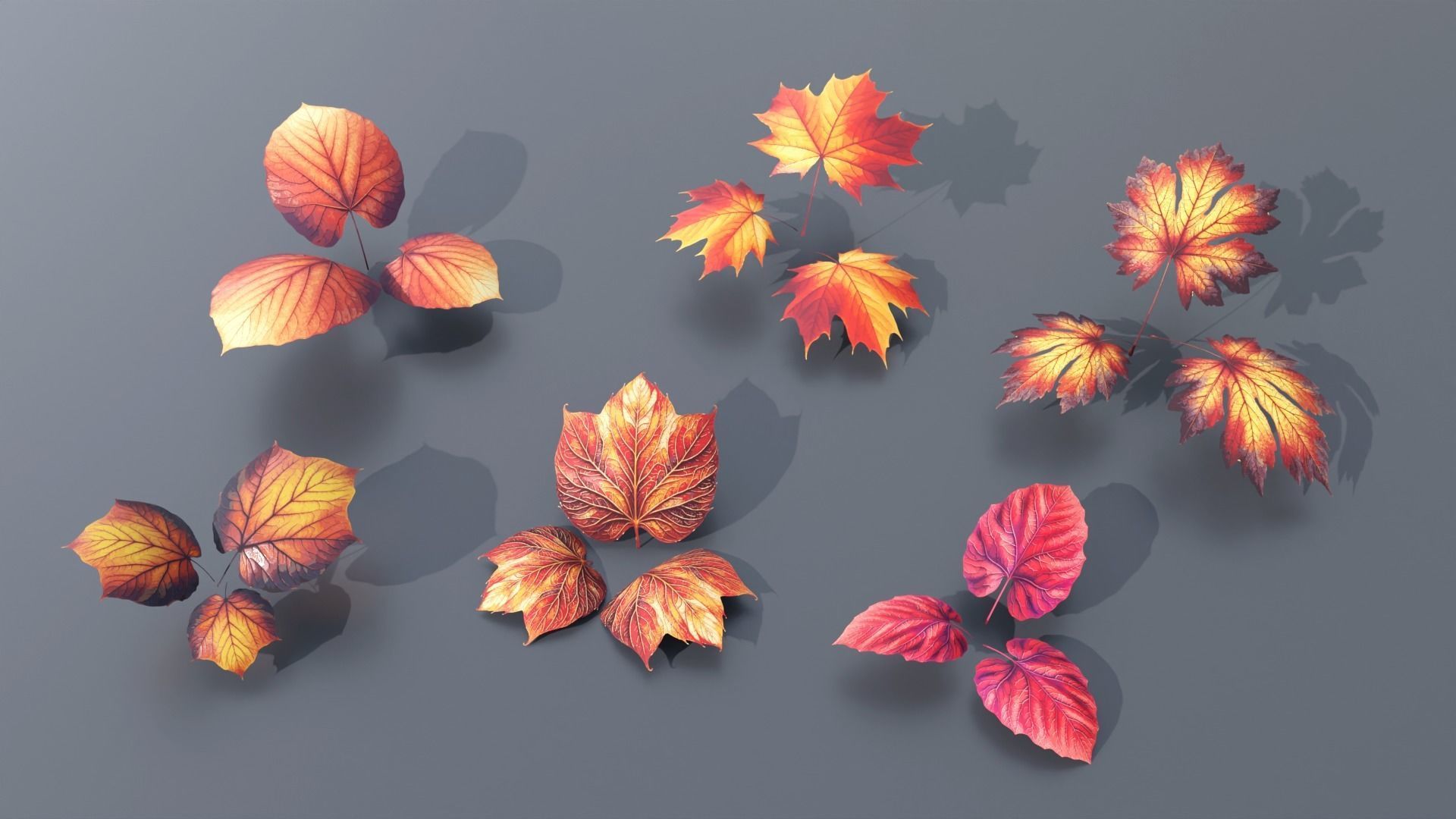 Types texture of leaves and trees low poly Low-poly 3D model_3