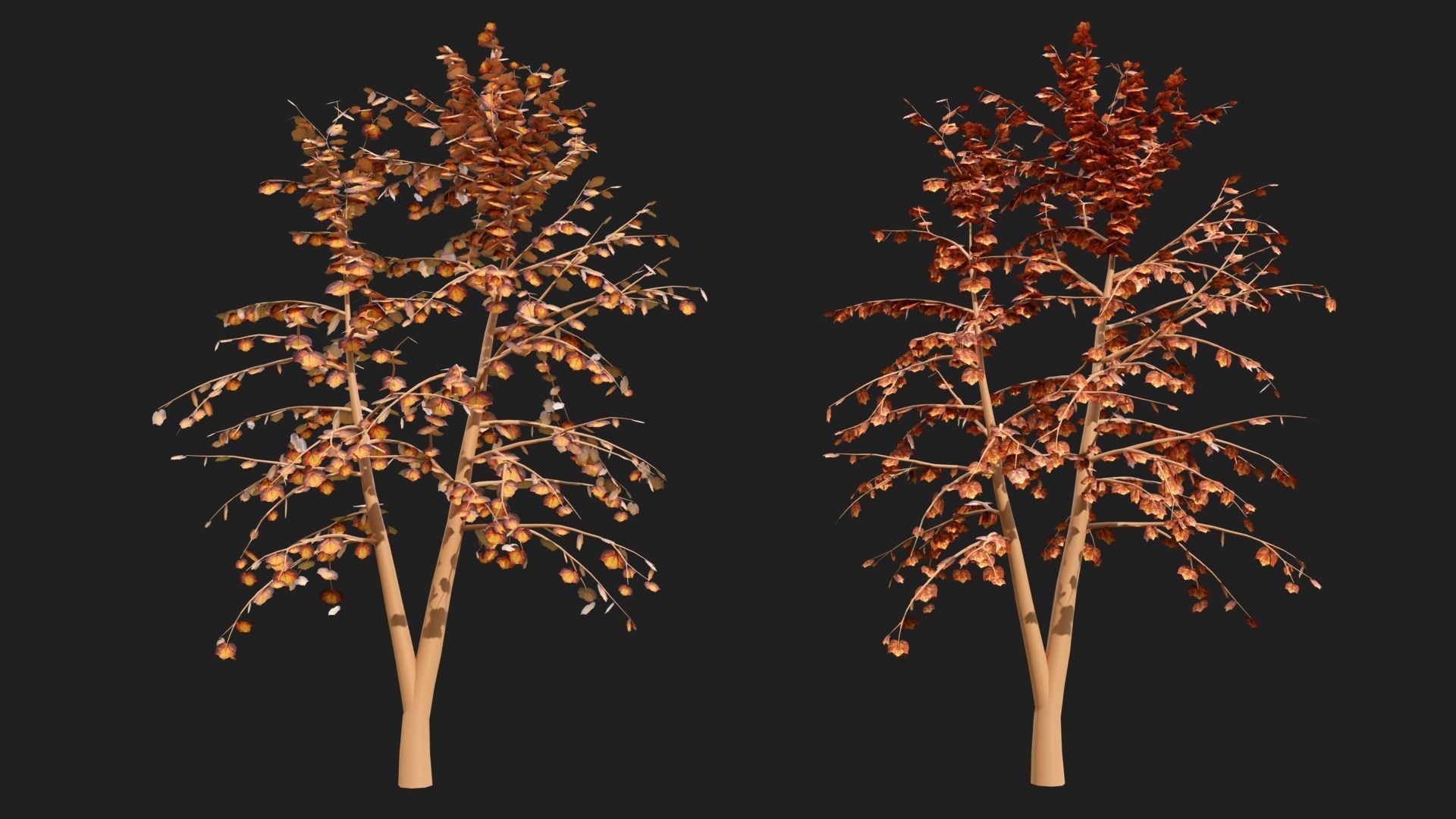 Types texture of leaves and trees low poly Low-poly 3D model_7