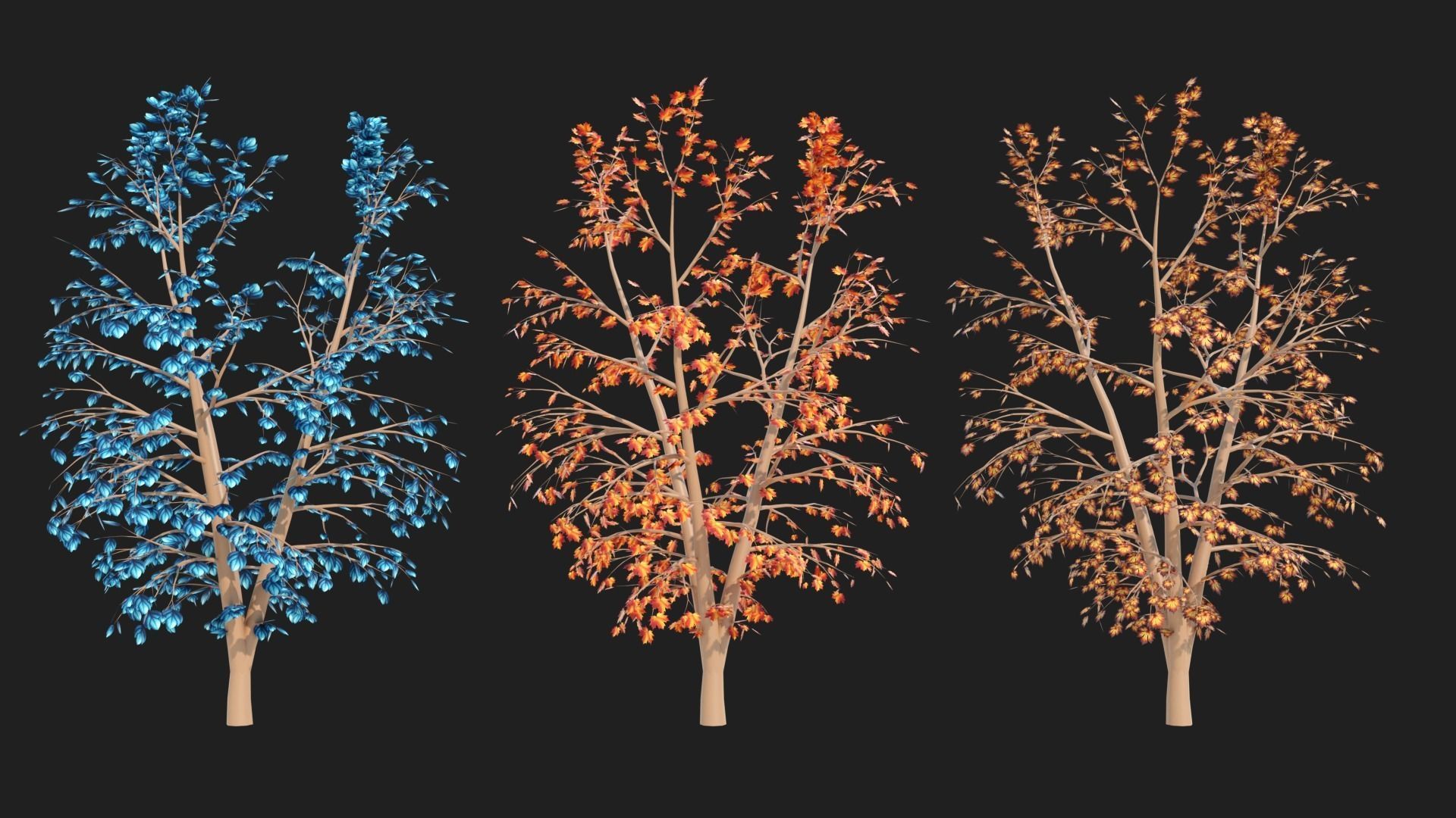 Types texture of leaves and trees low poly Low-poly 3D model_6