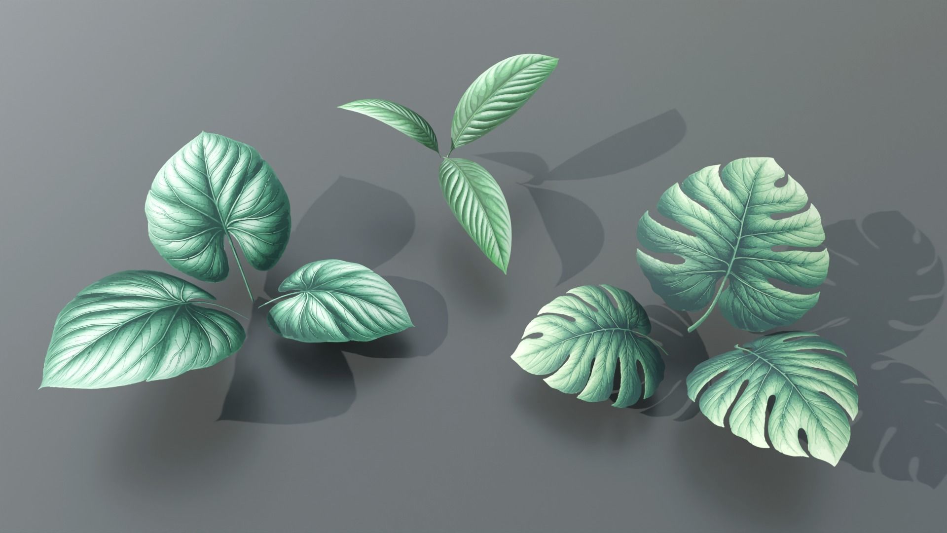 Types texture of leaves and trees low poly Low-poly 3D model_1
