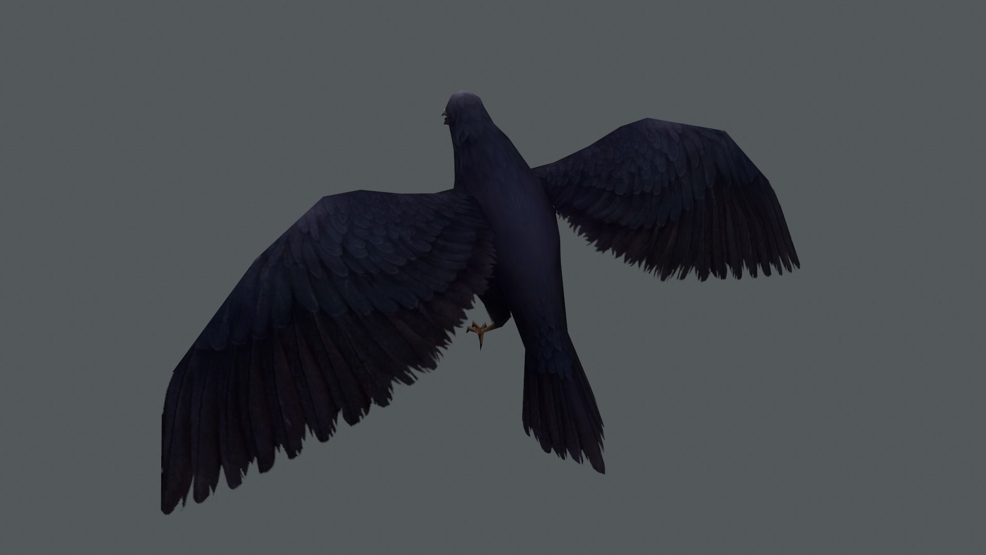 low-poly animated crow Low-poly 3D model_3