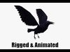 low-poly animated crow Low-poly 3D model_2