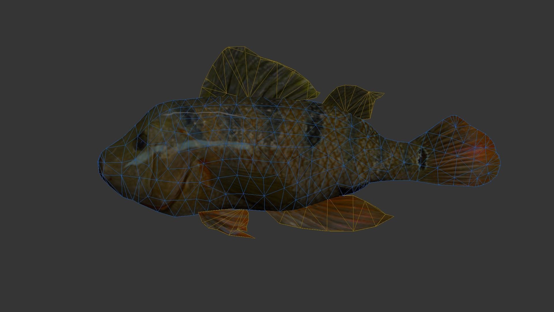 fish 4k Low-poly 3D model_9
