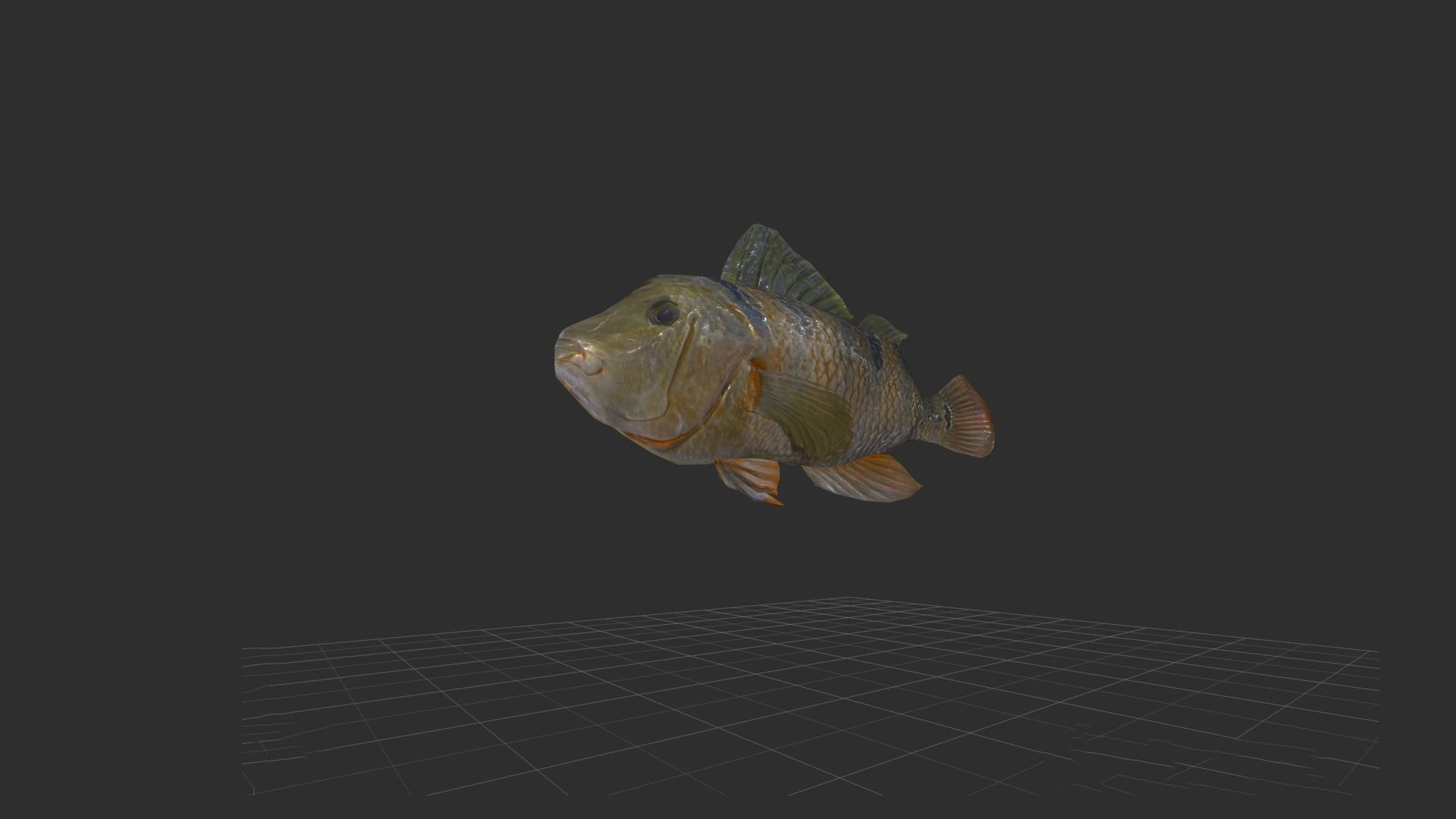 fish 4k Low-poly 3D model_10
