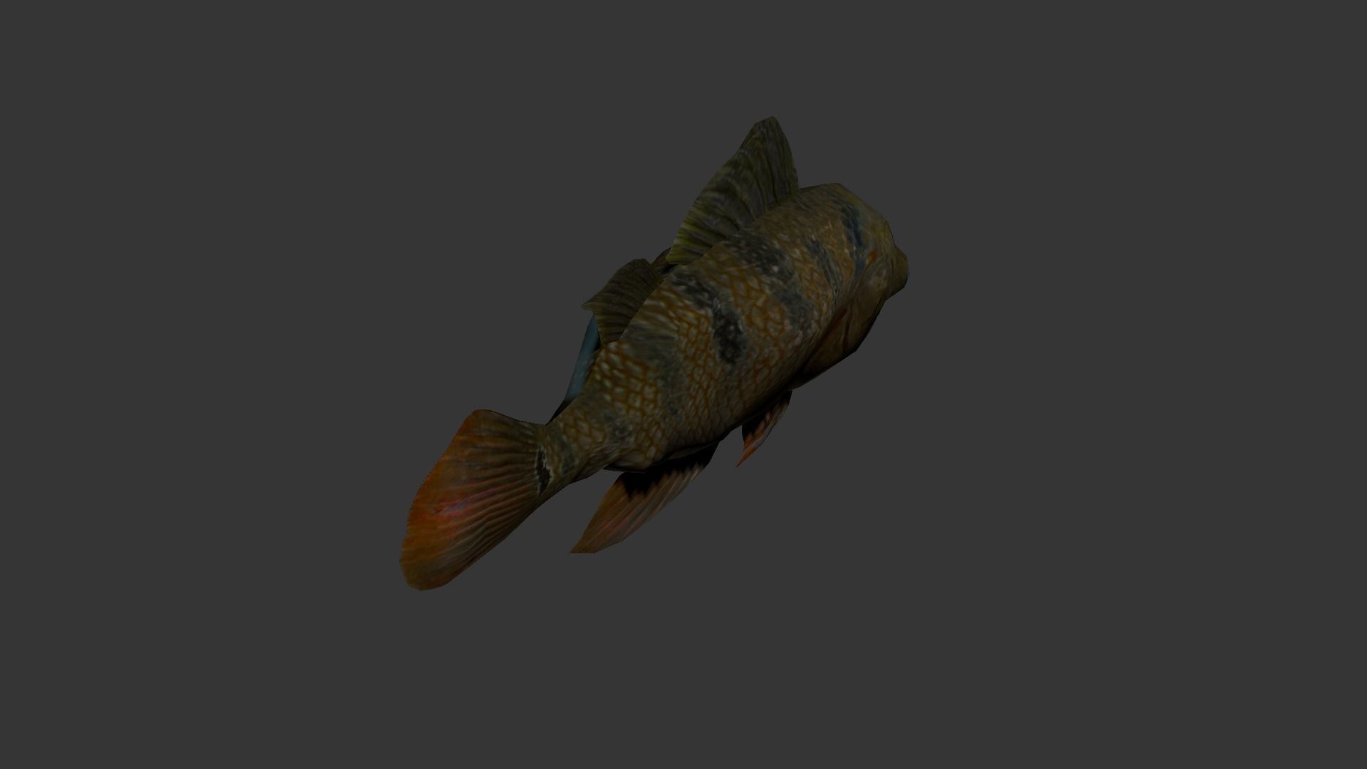fish 4k Low-poly 3D model_3