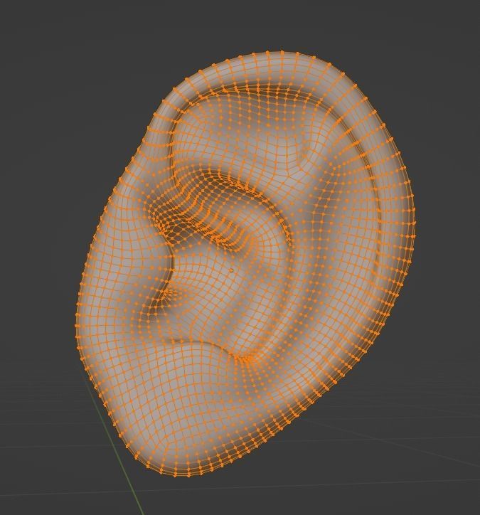  Human ear  3D model_2
