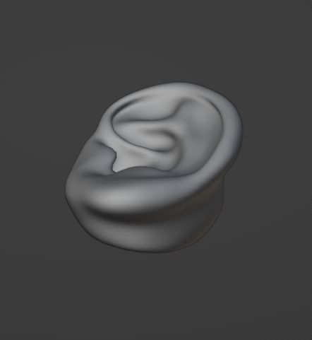  Human ear  3D model_3