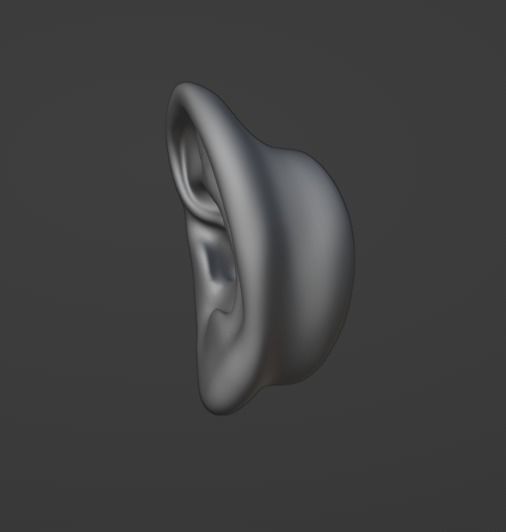 Human ear  3D model_4