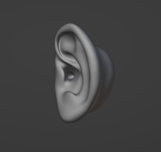  Human ear  3D model_1
