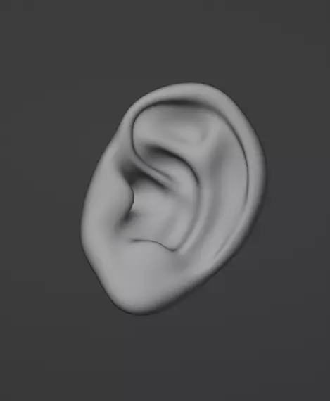  Human ear  3D model_0