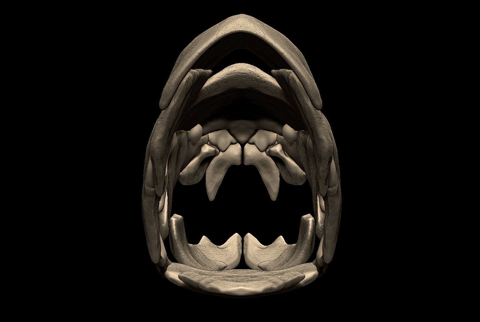 Dunkleosteus Skull 3D print model_3