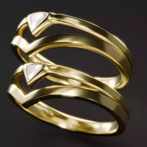 3D ring model