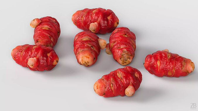 Oca Root 3D model 3