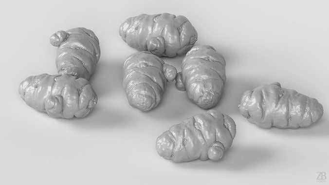 Oca Root 3D model 4