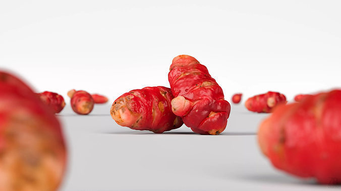 Oca Root 3D model 2