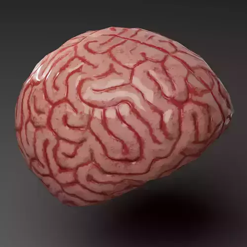 3D Brain