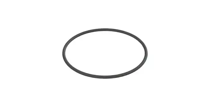 O Ring Vedabras 12866