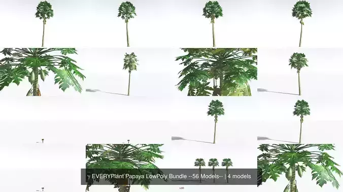 EVERYPlant Papaya LowPoly Bundle --56 Models-- 3D Model Collection