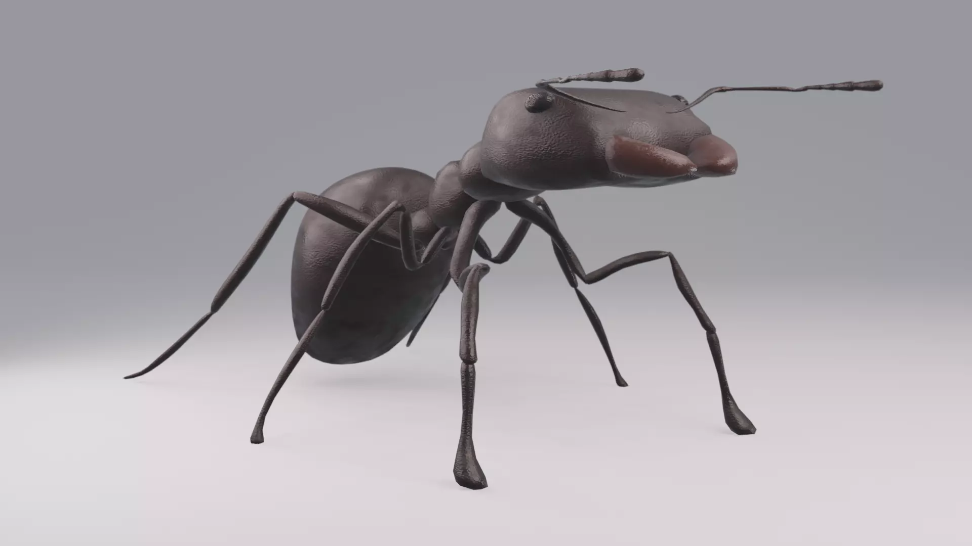 Ant Rigged Free low-poly 3D model_0