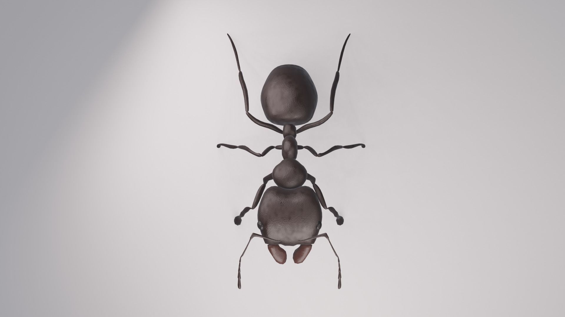 Ant Rigged Free low-poly 3D model_2