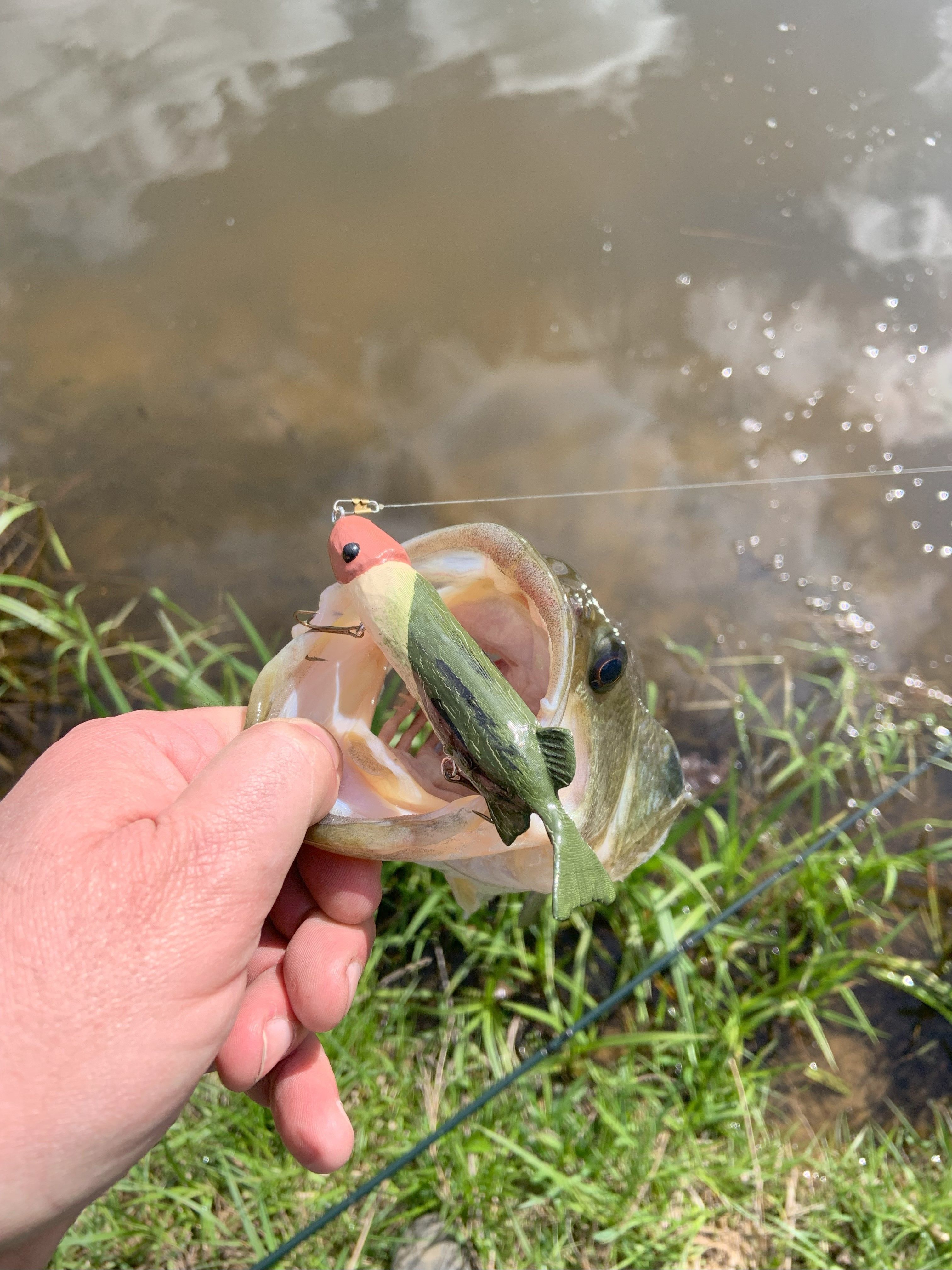 Peckerhead Perch - A Jerkbait 3D print model_5