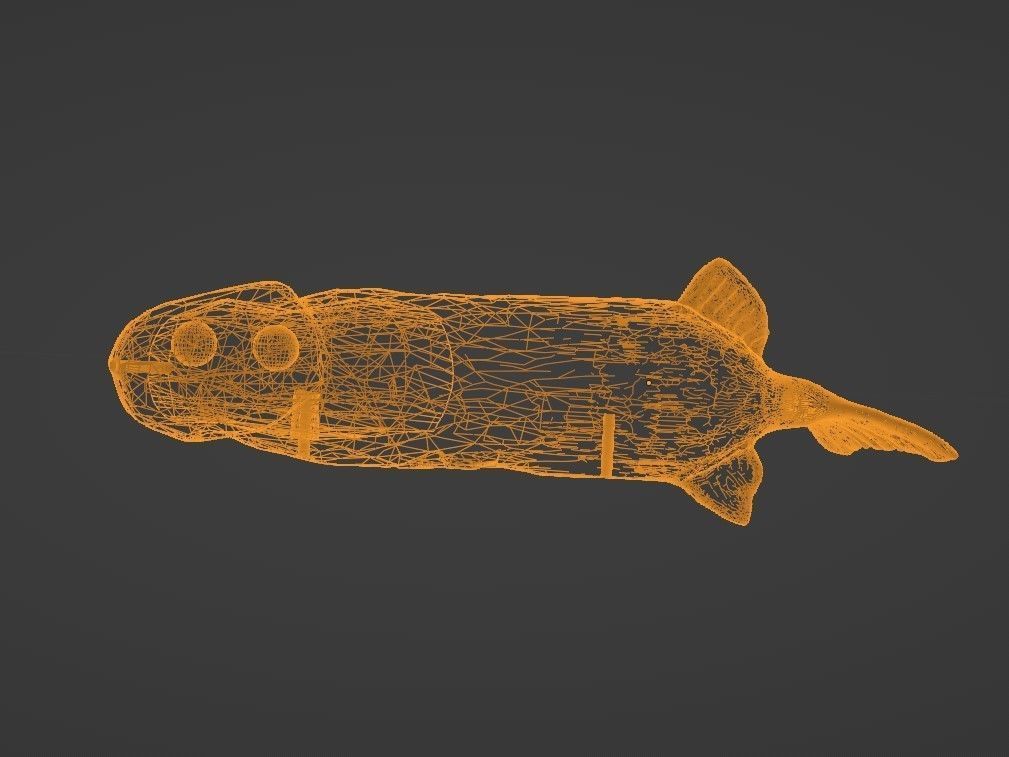 Peckerhead Perch - A Jerkbait 3D print model_2